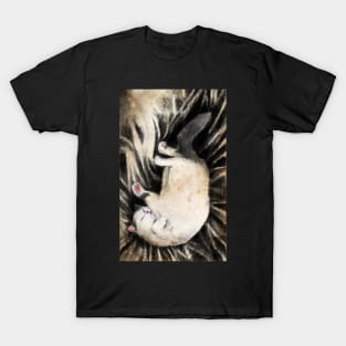 cat T-Shirt